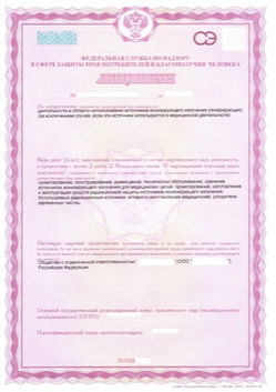 Образец лицензии на ИИИ (Федеральная служба)